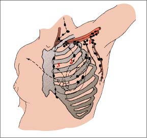 lymphatics of the breast