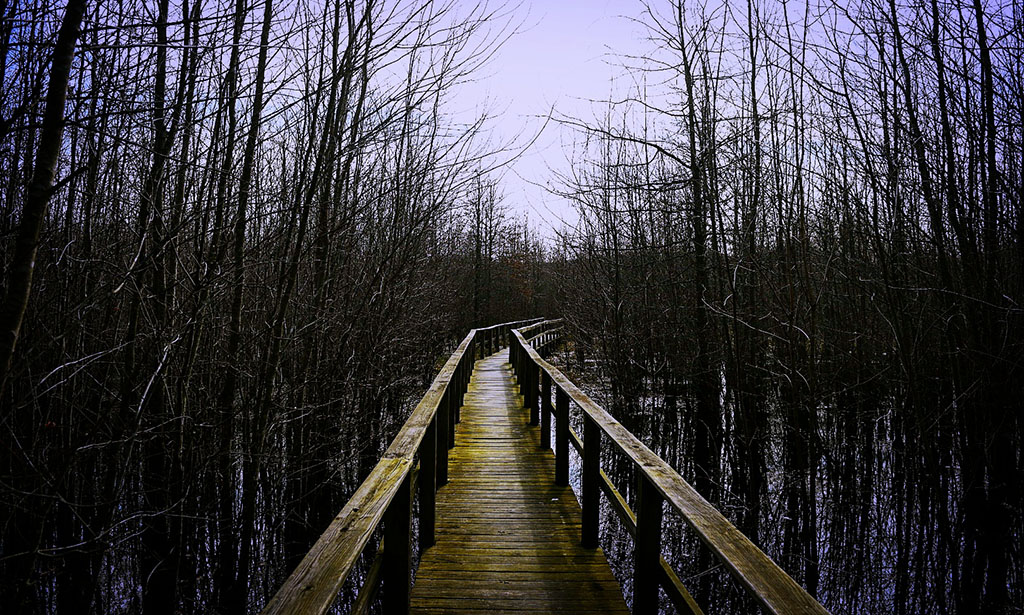 IMG_20170218_162747_988 Boardwalk at Beanblossom Bottoms Nature Preserve near Bloomington, Indiana