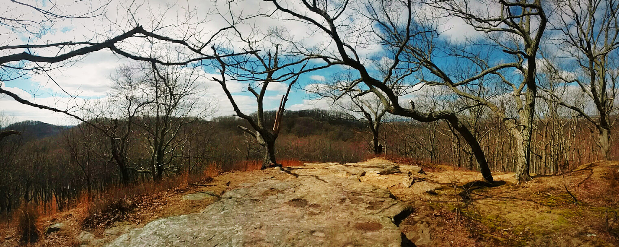 Pinnacle Peak at Jackson-Washington State Forest near Brownstown, Indiana