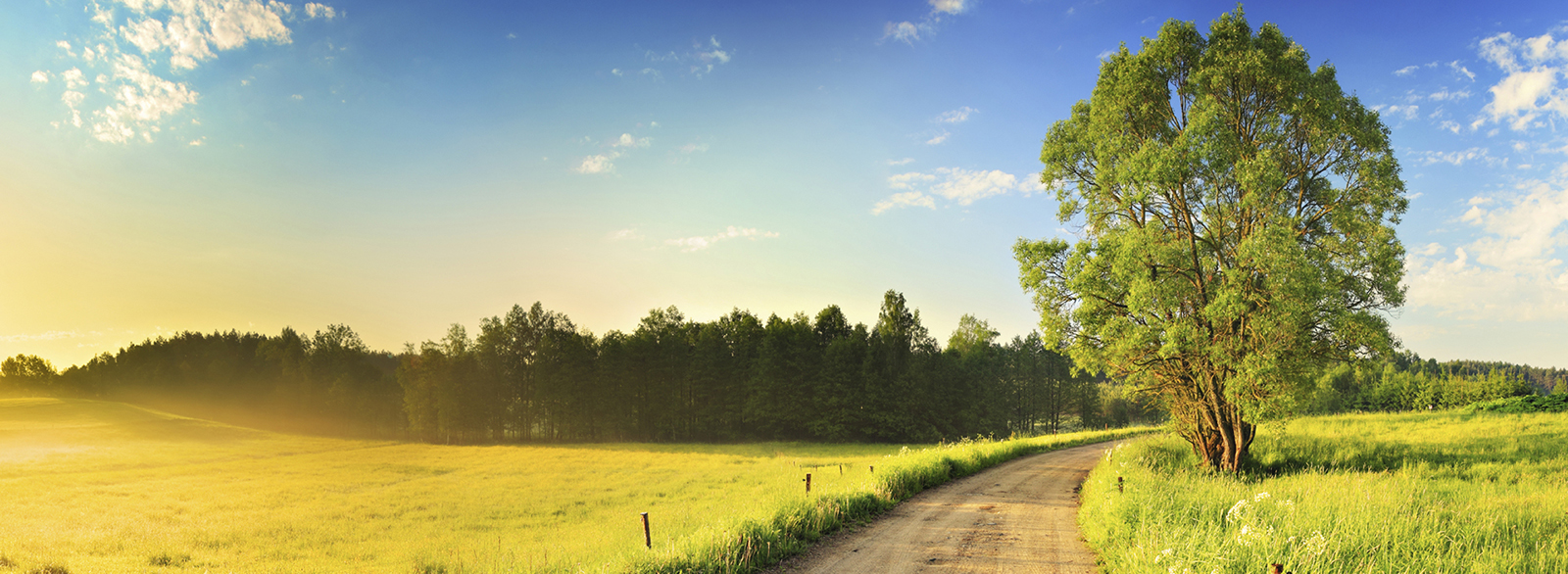 Epic login screen view of rural countryside