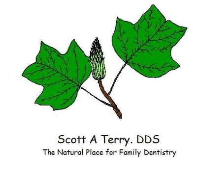 Scott Terry Logo with text