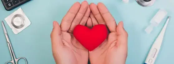 Hands holding plush heart