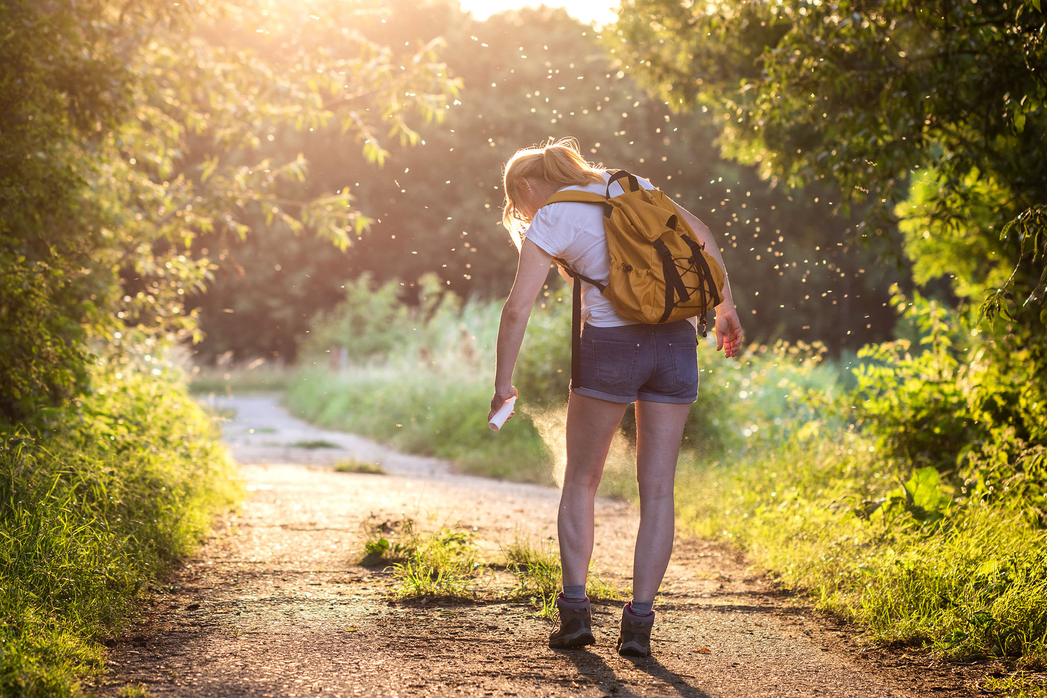 iStock-1255717216_blog