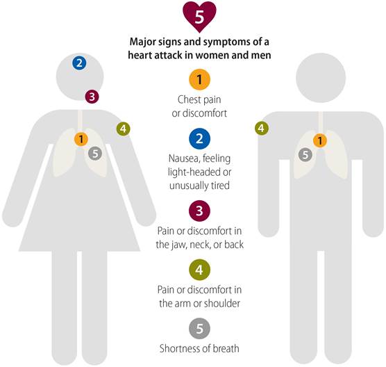 Women's Heart Attacks Symptoms Can Differ from Men's: Know the