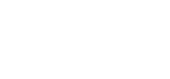 Volunteer Services Logo