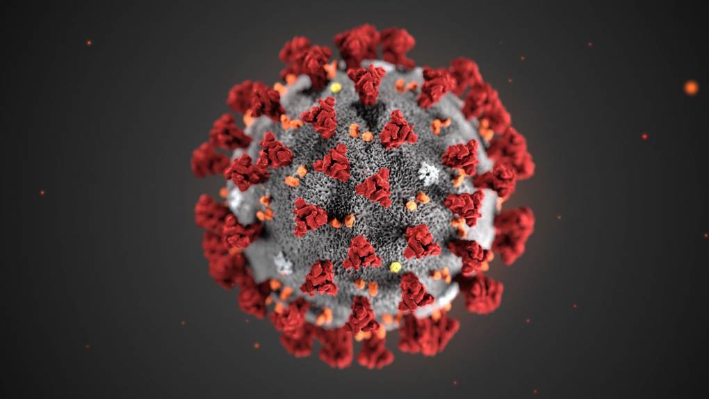 Image result for coronavirus update