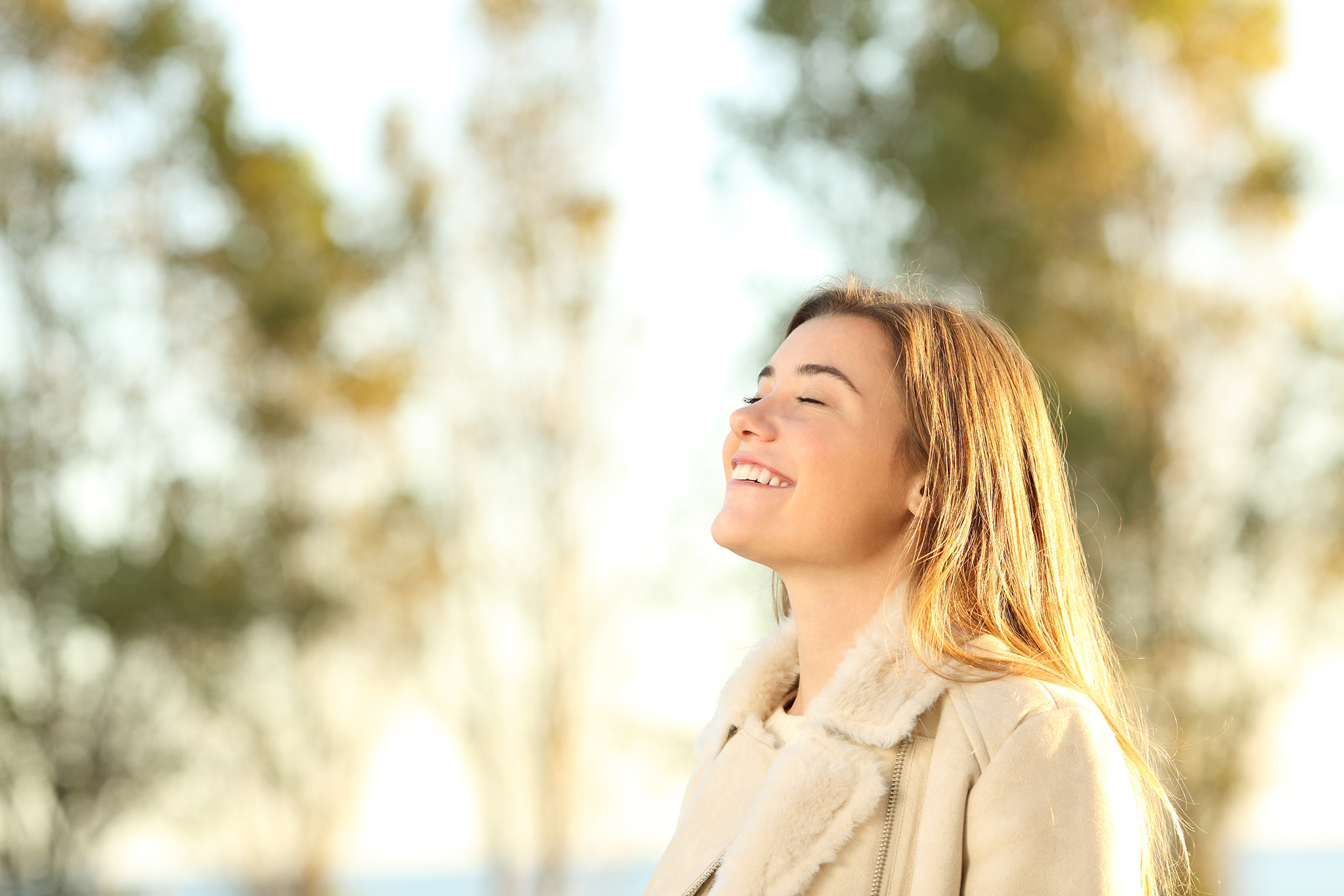 iStock-877068112 Winter Sunshine