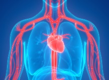 iStock-957849954_blog