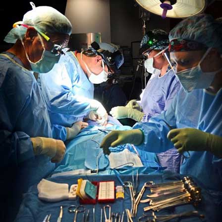 ENT surgeons at CRJ