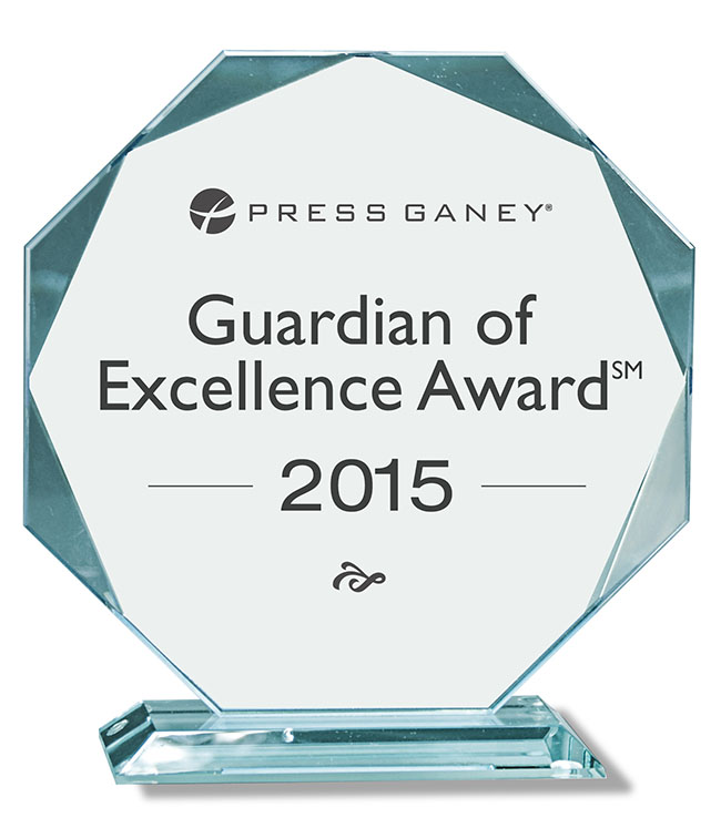 Guardian of excellence award 2015