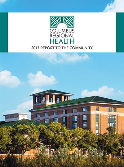 2017 Annual Report to Our Community, cover image