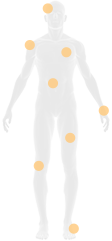 body chart image